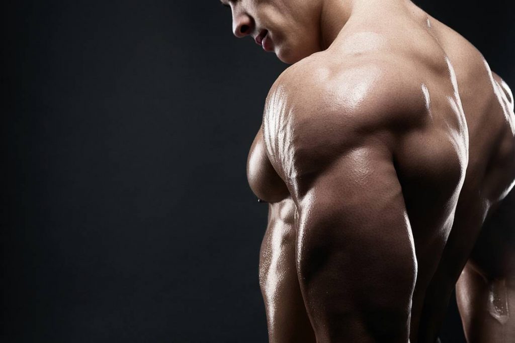 best natural steroids
